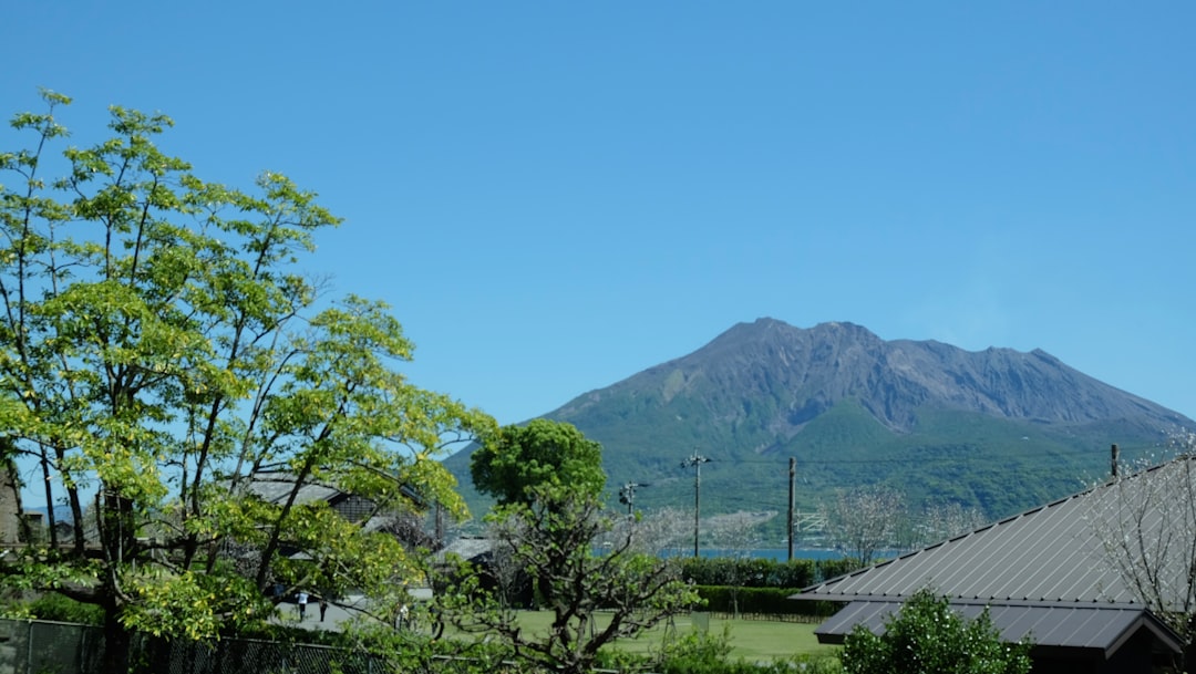 Історія Geoprospectiva